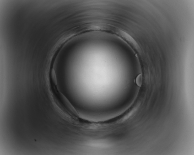 X0000089350938200706151059