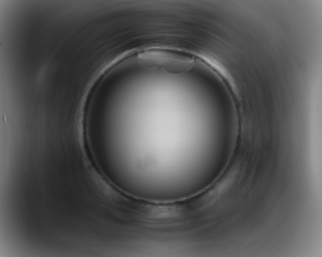 X0000089350941200706151059