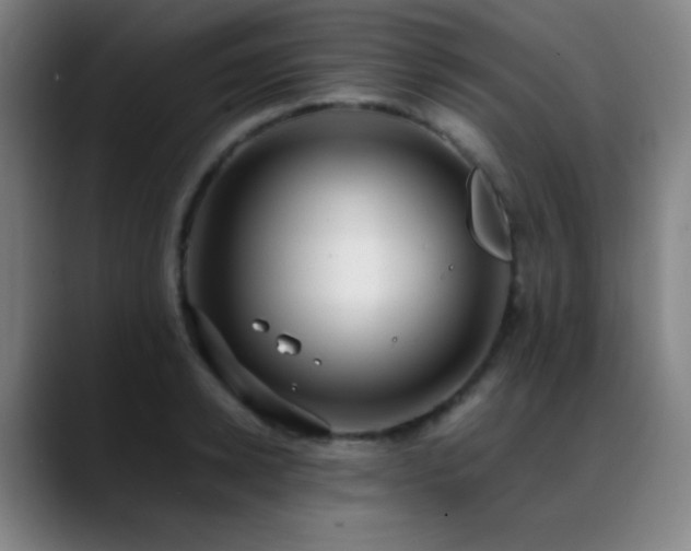 X0000089350942200706151059