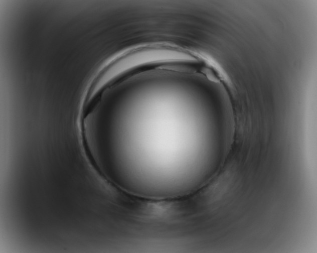 X0000089350943200706151059