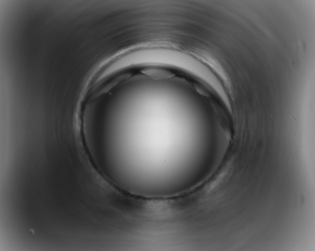 X0000089350944200706151059