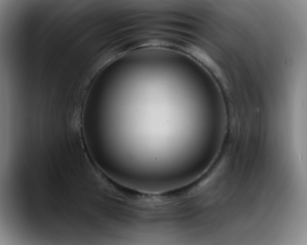 X0000089350945200706151059