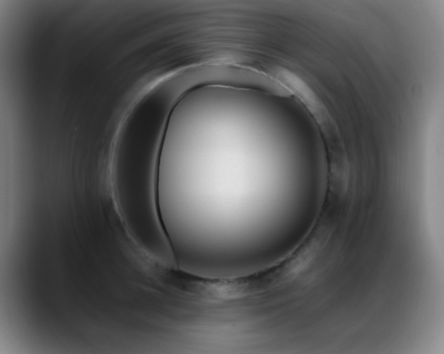 X0000089350948200706151059