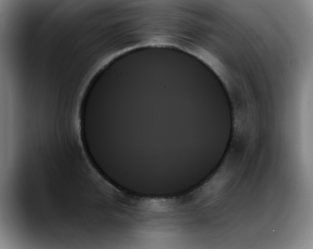 X0000089350950200706151059