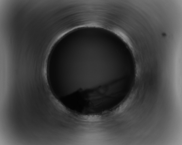 X0000089350952200706151059