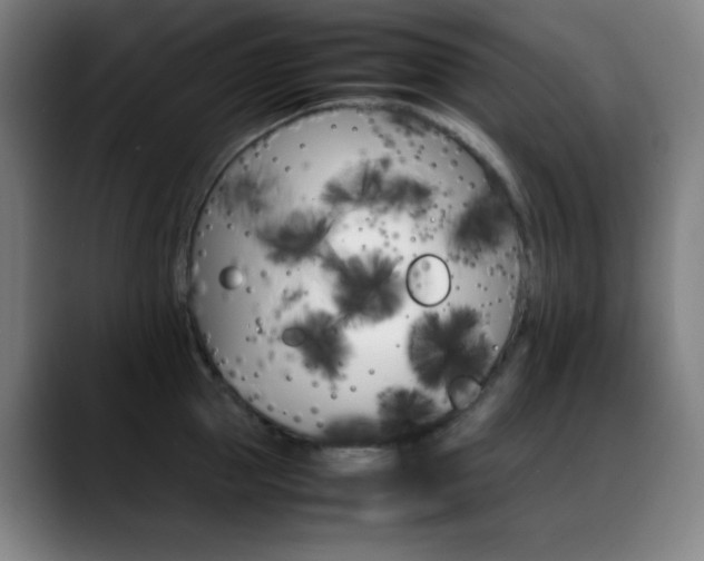 X0000089350953200706151059