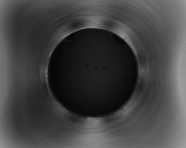 X0000089350954200706151059