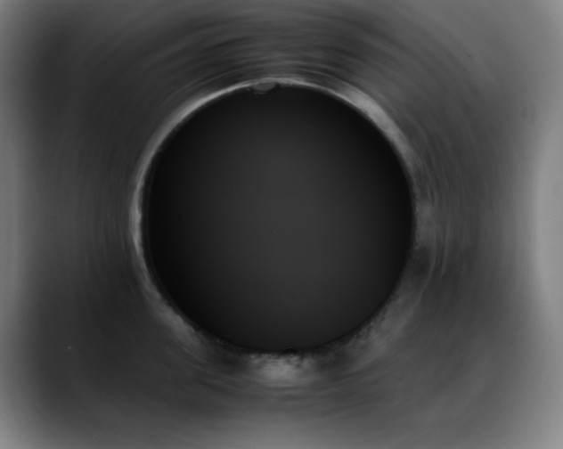 X0000089350955200706151059