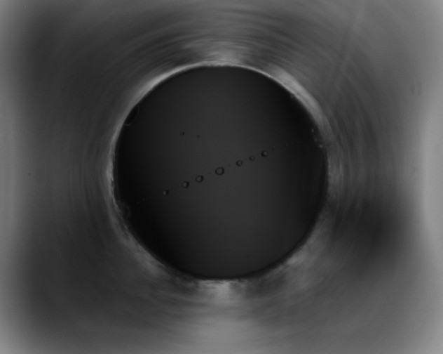 X0000089350956200706151059