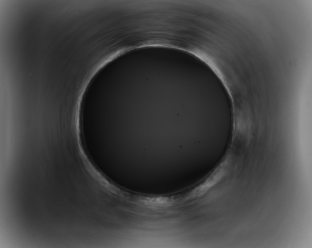 X0000089350957200706151059