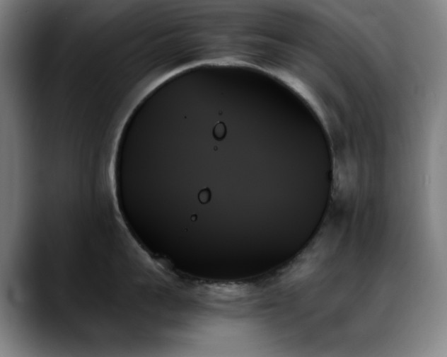 X0000089350959200706151059