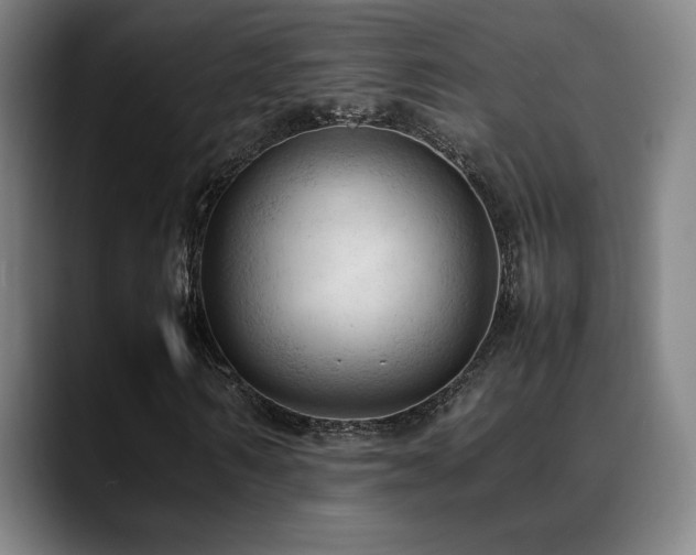 X0000089350962200706151058
