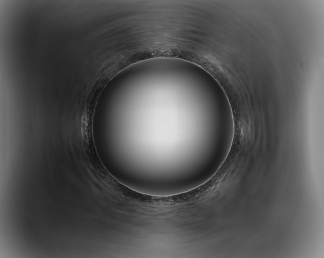 X0000089350964200706151058