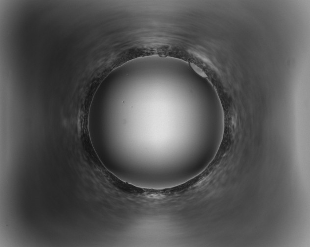 X0000089350965200706151058