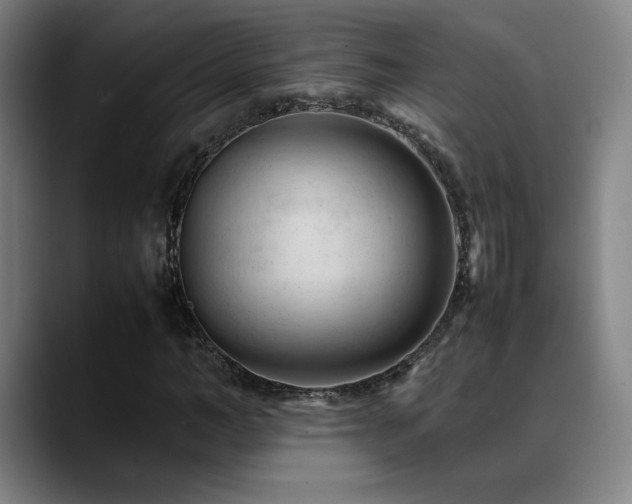 X0000089350966200706151058