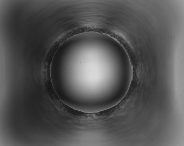 X0000089350968200706151058