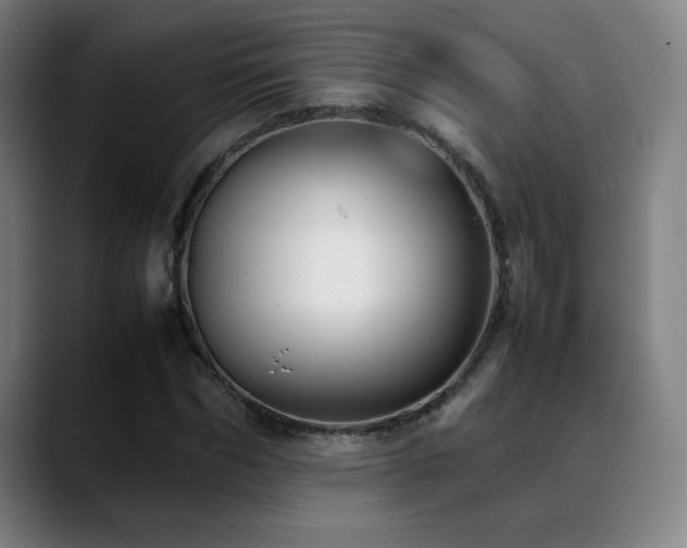 X0000089350970200706151058