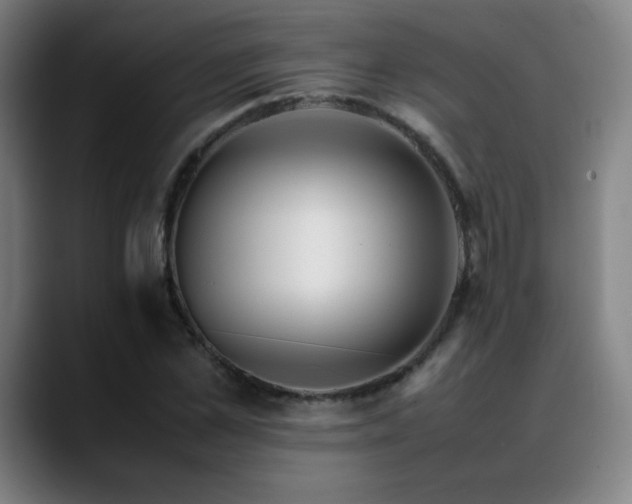X0000089350973200706151058
