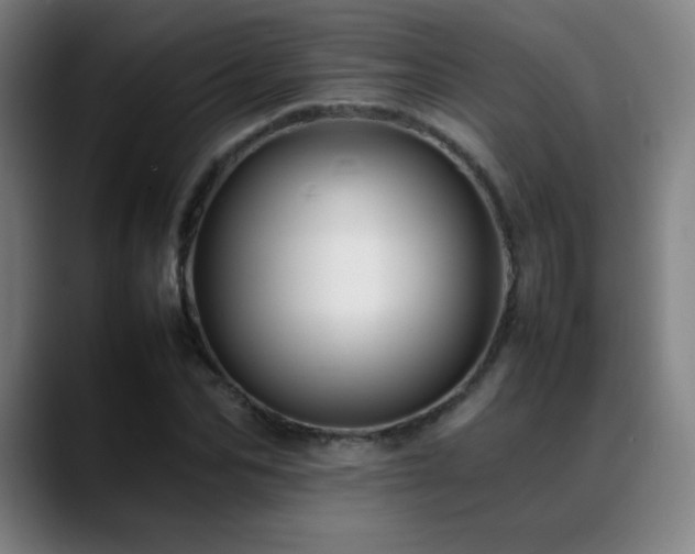 X0000089350974200706151058