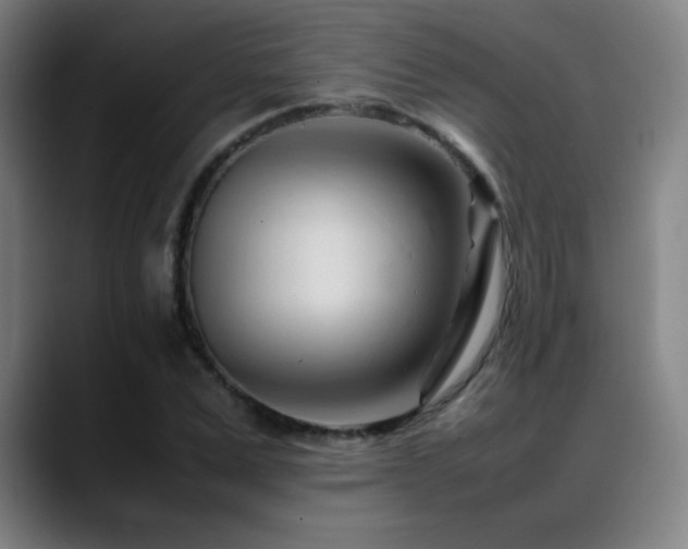 X0000089350975200706151058