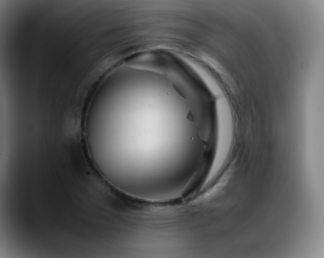 X0000089350977200706151058