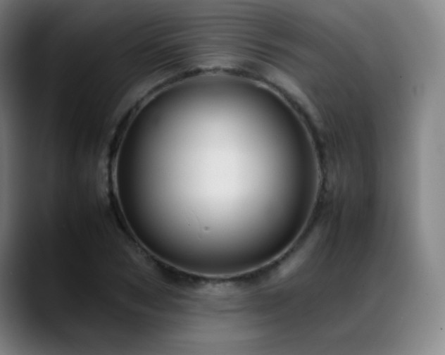 X0000089350978200706151058
