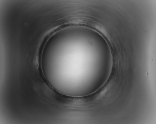 X0000089350979200706151058