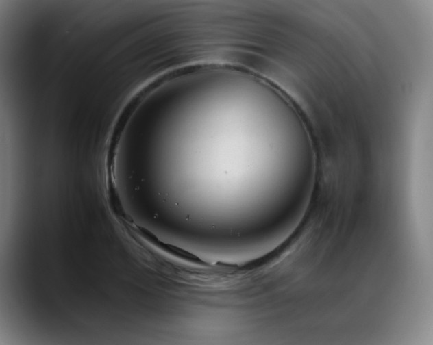 X0000089350980200706151058