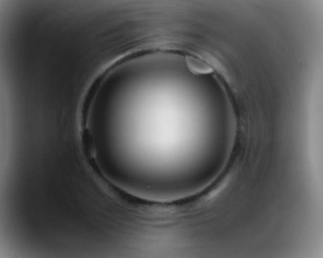 X0000089350981200706151058