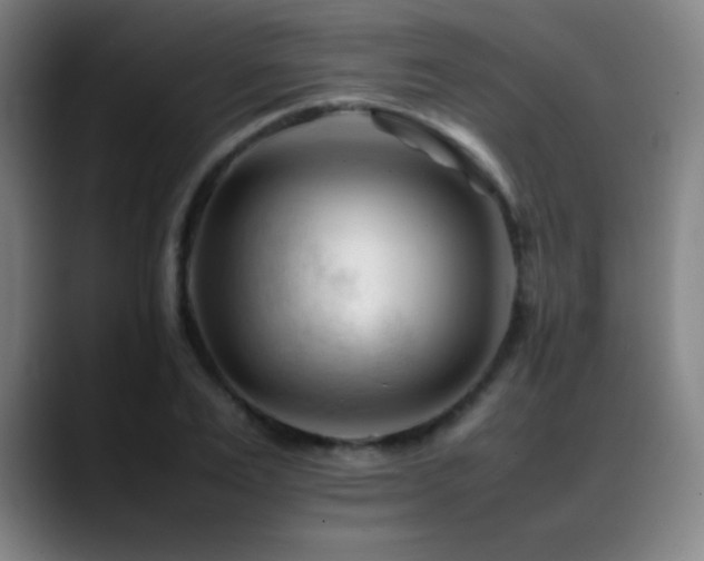 X0000089350983200706151058
