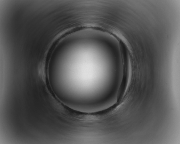 X0000089350984200706151058