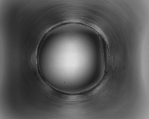 X0000089350988200706151058