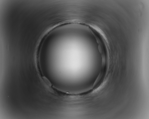 X0000089350989200706151058