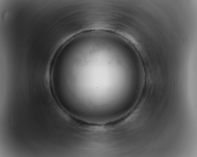 X0000089350990200706151058