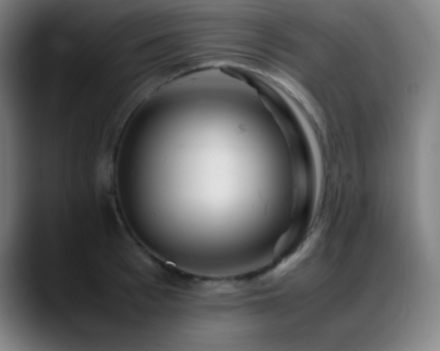 X0000089350993200706151058
