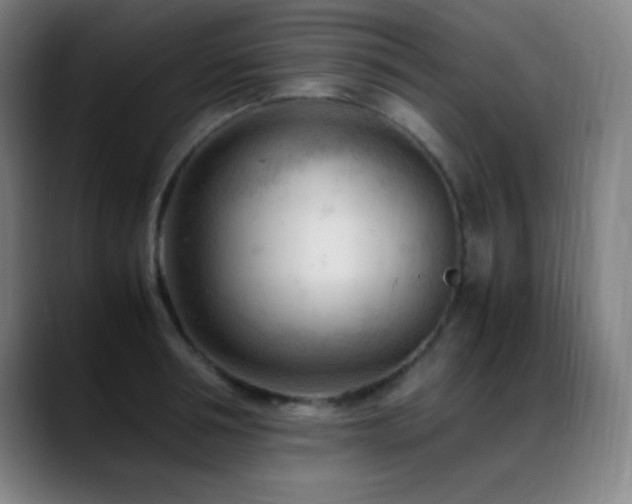 X0000089350994200706151058