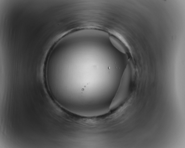 X0000089350995200706151058