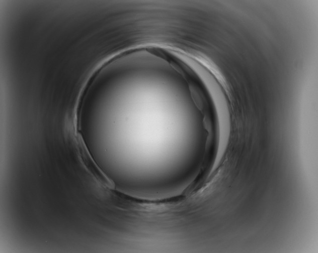 X0000089350996200706151058