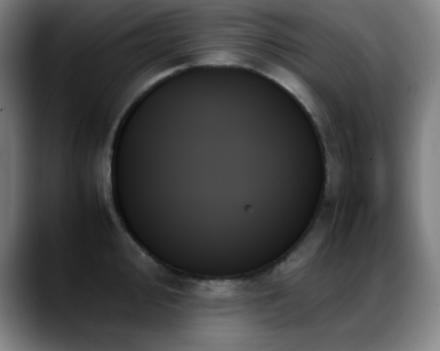 X0000089351000200706151058