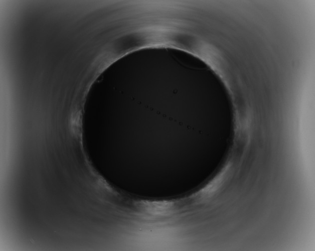 X0000089351001200706151058