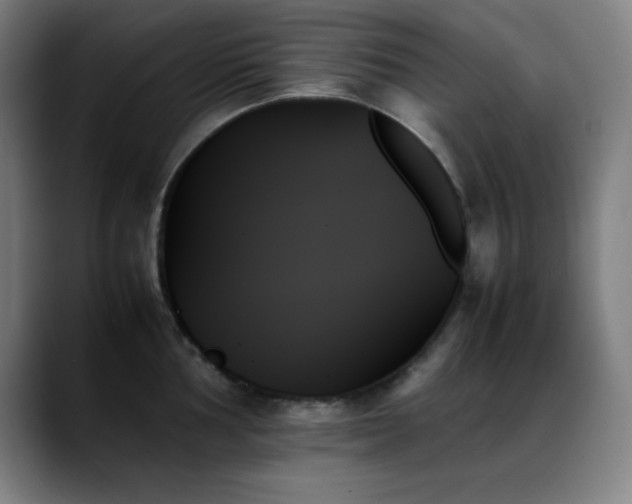 X0000089351002200706151058