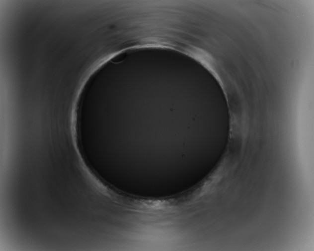 X0000089351003200706151058