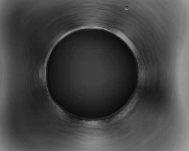 X0000089351004200706151058