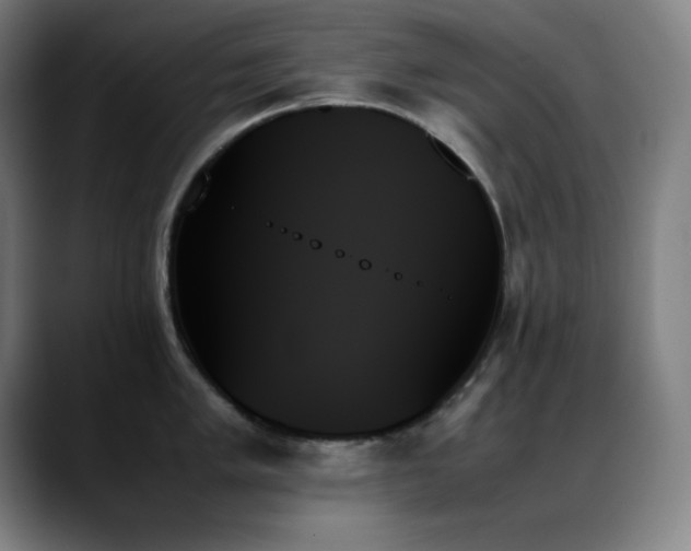 X0000089351005200706151058