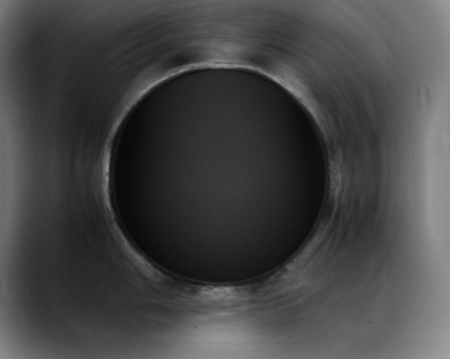 X0000089351006200706151058