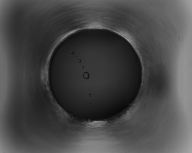 X0000089351008200706151058