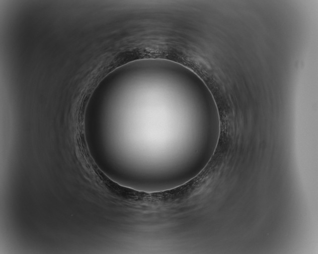 X0000089351009200706151057