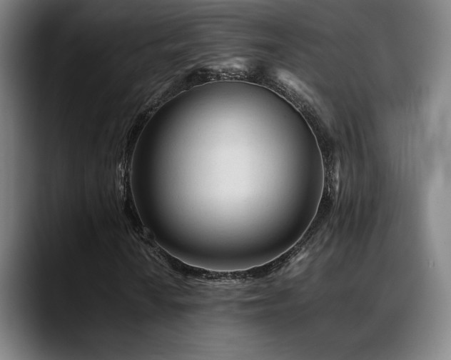 X0000089351010200706151057
