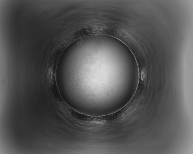X0000089351011200706151057