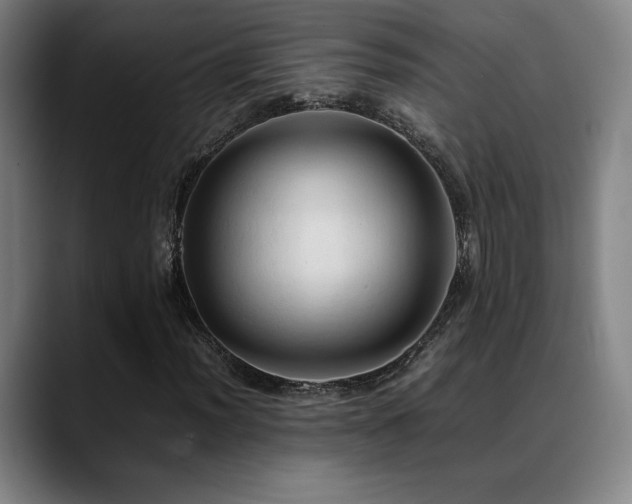 X0000089351012200706151057